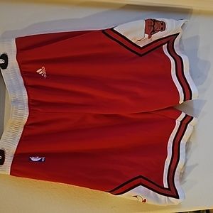 Chicago Bulls Adidas/NBA Men's Shorts in Size Medium